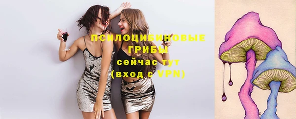 бошки Алзамай