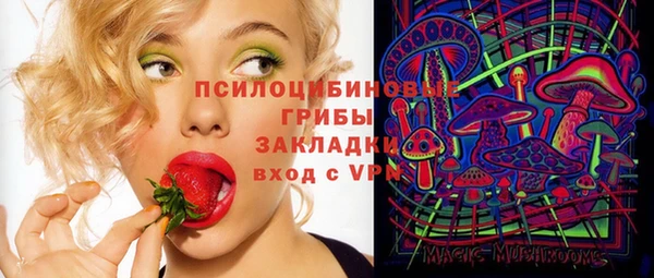 бошки Алзамай