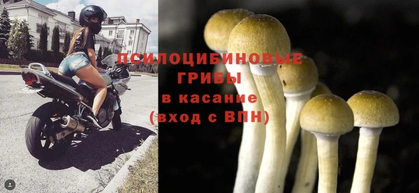 амфетамин Алексин