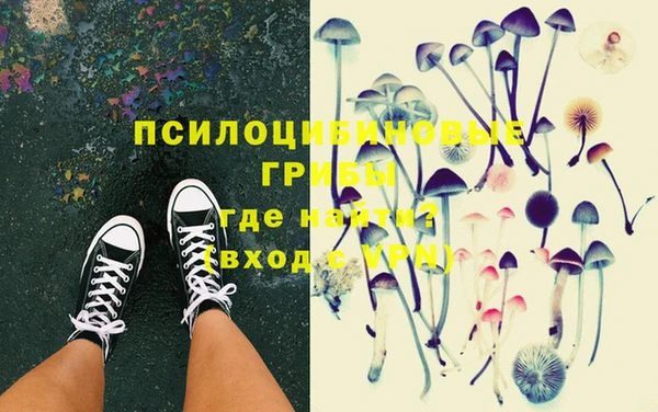 бошки Алзамай