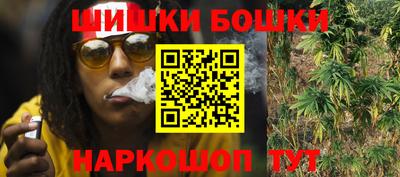 трава Сланцы