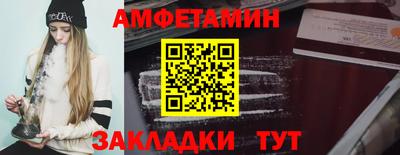 трава Сланцы