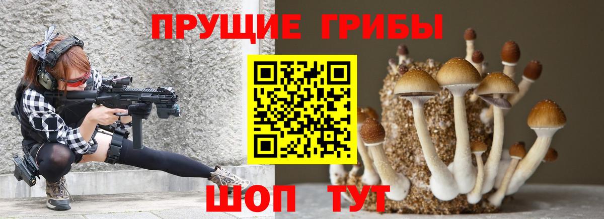 Галлюциногенные грибы прущие грибы  Вход с VPN  Санкт-Петербург 