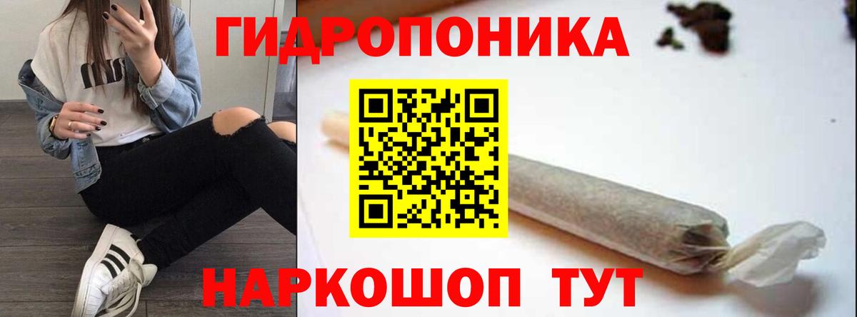 Каннабис семена  Каннабис Bruce Banner  Марихуана марихуана  Вход с VPN  МАРИХУАНА план  Санкт-Петербург 